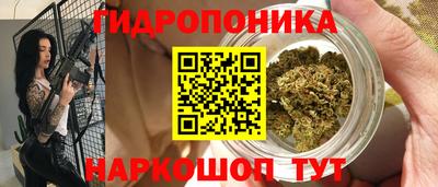 хмурый Малгобек