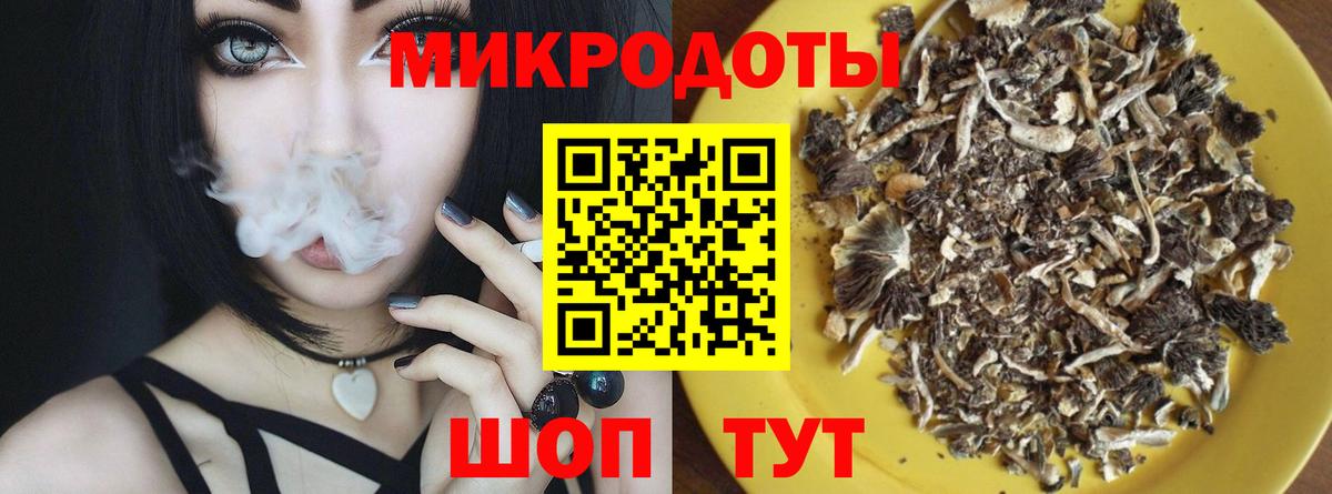Псилоцибиновые грибы Cubensis Донской